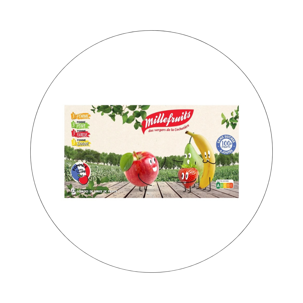 MILLE FRUITS - Gourdes Compotes x12