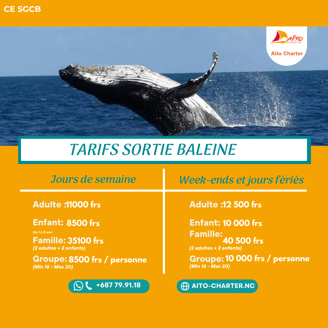 Aïto Charter - Excursion Baleine